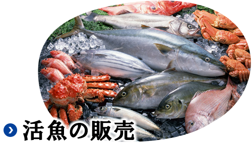 活魚販売